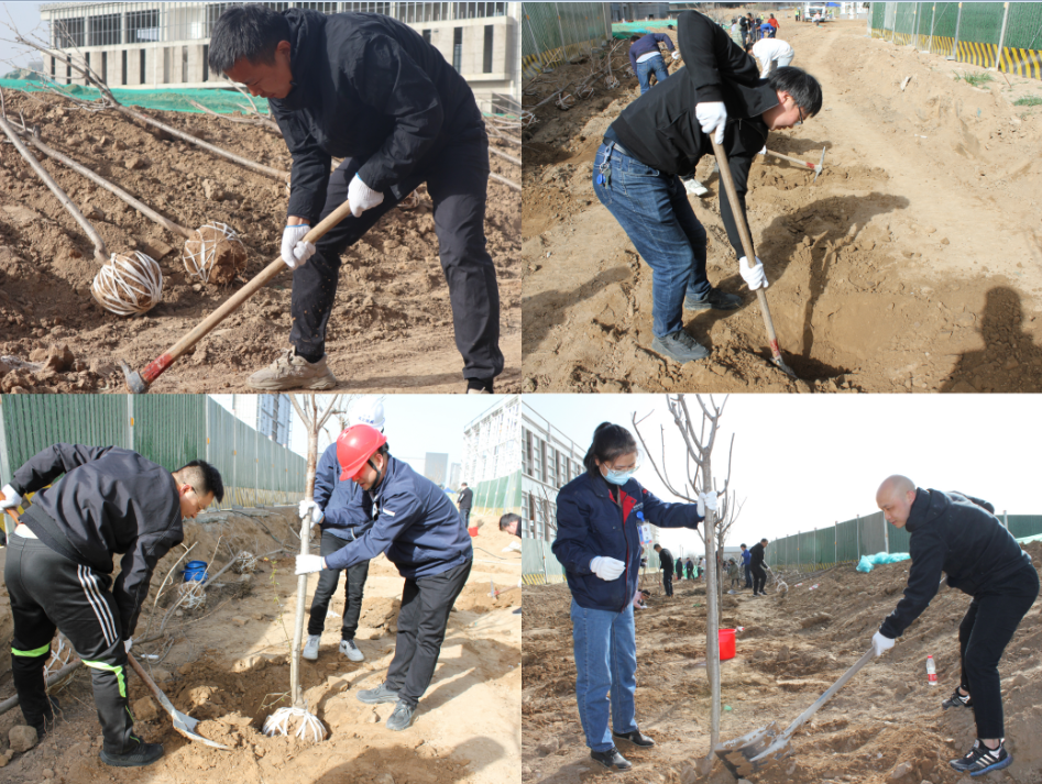 賽特公司開展“栽種新希望，奮進新征程”植樹節(jié)主題活動
